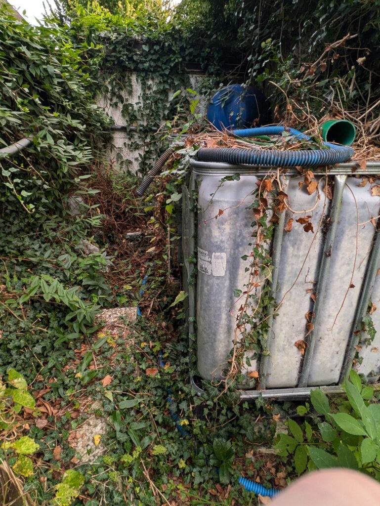 verkommene IBC